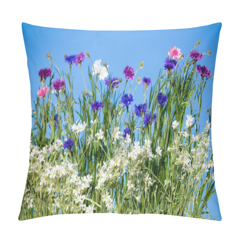Personality  Wild Flowers Blooming Over Blue Sky Pillow Covers