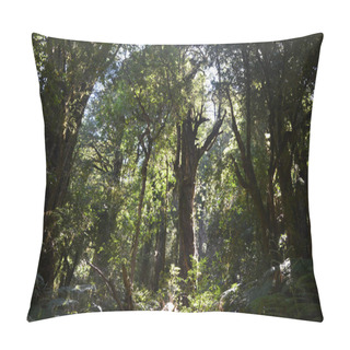 Personality  Plants And Flowers Of The Valdivian Temperate Rainforests In Southern Chile (Chilean Patagonia). The Valdivian Temperate Forest Is An Ecoregion On The West Coast Of Southern South America, And Thus West To The Andes Range, Located Mostly In Chile. Pillow Covers