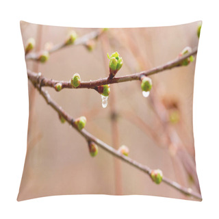 Personality  Drops Of Spring Rain On The Opening Buds. Selective Focus, Shallow Depth Of Field Pillow Covers