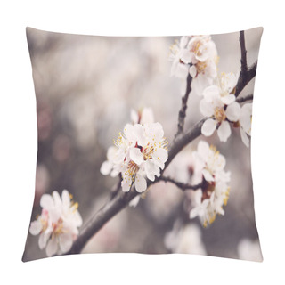 Personality  Spring Blooming Tree Pillow Covers