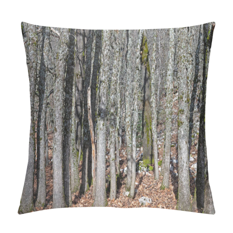 Personality  Dense trees in the mountains in winter. pillow covers