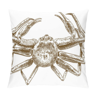 Personality  Vector Antique Engraving Drawing Illustration Of Chionoecetes Opilio Crab Isolated On White Background Pillow Covers