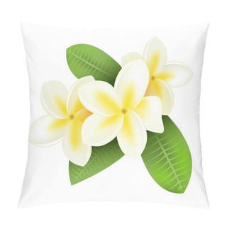 Personality  Realistic Plumeria. Frangipani Tropical Plants With White And Yellow Petals. Isolated Blooming Flowers And Green Leaves. Hawaiian Flora. Decorative Botanical Element. Vector Blossom Pillow Covers