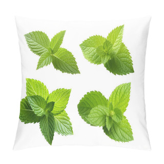 Personality  Fresh Paper Mint Leaf Isolated White Background Pillow Covers
