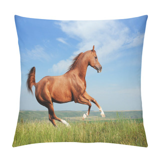 Personality  Beautiful Red Arabian Horse Running Gallop Pillow Covers