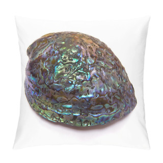 Personality  Cleared Nacreous Seashell Of Haliotis Iris, The Rainbow Abalone Or Paua. Lateral View. Pillow Covers