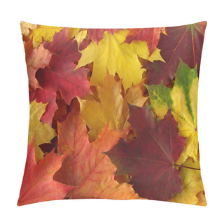 Personality  Autumnal Palette Pillow Covers