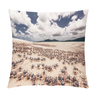Personality  Whitehaven Beach In Australia Pillow Covers