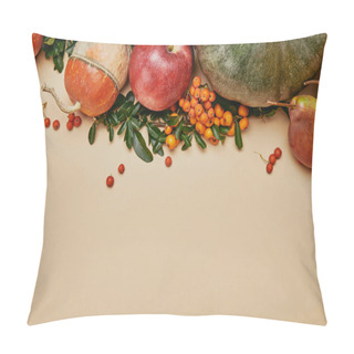 Personality  Top View Of Autumnal Decoration With Pumpkins, Apple, Pears And Firethorn Berries On Table Pillow Covers