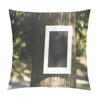 Personality  Empty Board In Frame On Grey Bark Of Tree In Park Pillow Covers