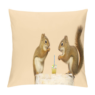 Personality  Birthday Squirrel. Pillow Covers