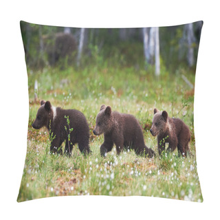 Personality  Three Beautiful Bear Cubs Pillow Covers