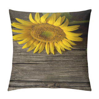 Personality  Mammoth Sunflower Seed Flower Head With Copy Space Pillow Covers