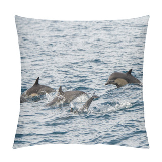Personality  Dana Point, California. A Group Of Short-beaked Common Dolphins, Delphinus Delphis Swimming In The Pacific Ocean Pillow Covers