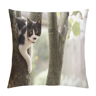 Personality  Black White Kitten Hanging On Tree Pillow Covers