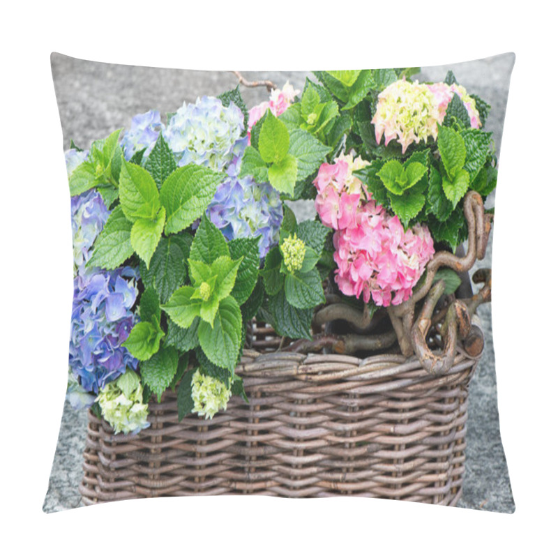 Personality  Colorful Hydrangea Bushes. Beautiful Garden Hortensia Pillow Covers