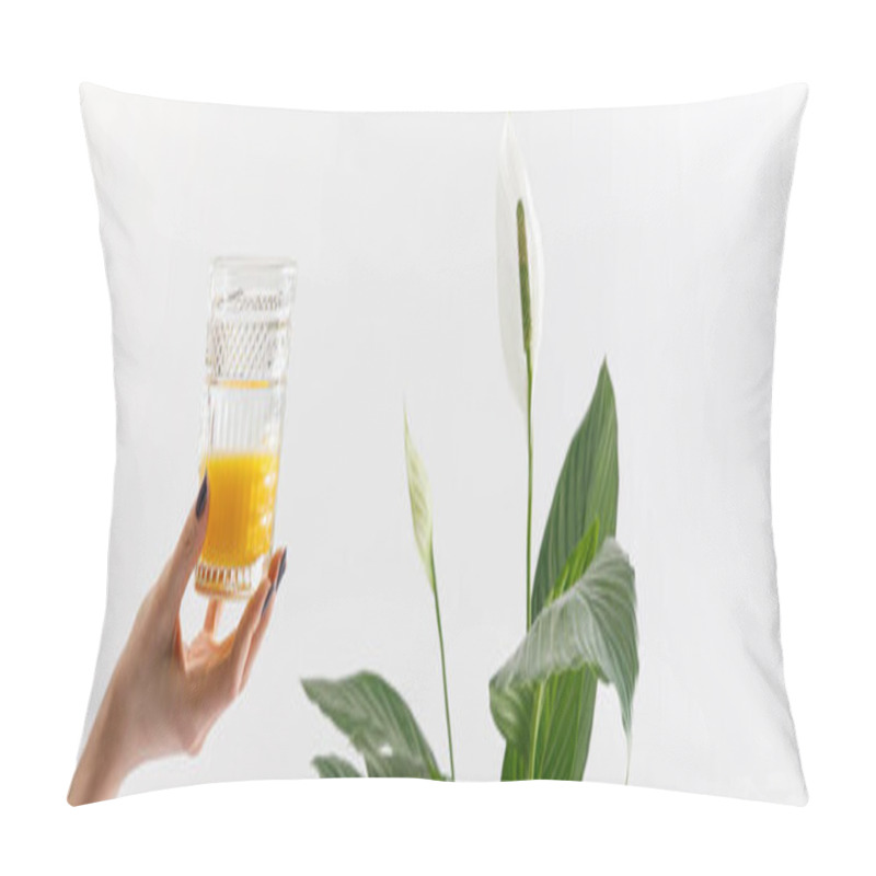Personality  cropped view of woman holding glass of fresh delicious yellow smoothie near green peace lily plant isolated on white, panoramic shot pillow covers