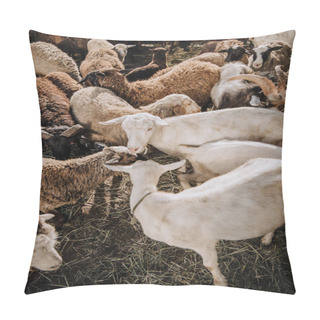 Personality  High Angle View Of Goats And Herd Of Sheep Grazing In Corral At Farm Pillow Covers