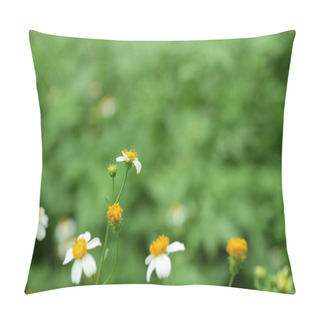 Personality  Flowers And Small Bees Beauty In Nature Pillow Covers