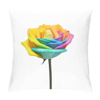 Personality  Rainbow Roses Flower And Multi Colors Petals. Pillow Covers