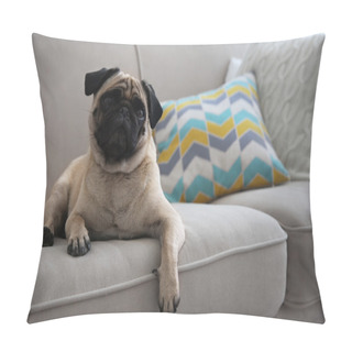 Personality  Pug Dog On Couch Pillow Covers