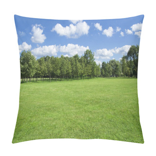 Personality  Summer Landscape Of Grass And Trees. Pillow Covers