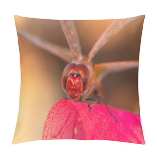 Personality  Macro Shots, Showing Of Eyes Dragonfly And Wings Detail. Beautiful Dragonfly In The Nature Habitat. Pillow Covers