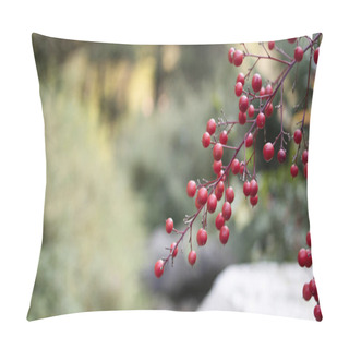 Personality  Red Berries Of Smilax China Plant Close Up. Blurred Background. Pillow Covers