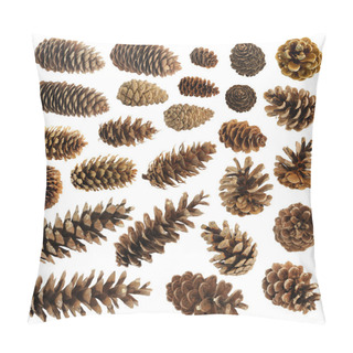 Personality  Big Set Of Cones Various Coniferous Trees Isolated On White Pillow Covers