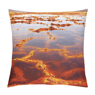 Personality  Red Pond-Dallol Mountain Rising 50-60 Ms.over Lake Karum-Assale. Danakil-Ethiopia. 0330-2 Pillow Covers