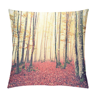 Personality  Fantasy And Vintage Forest Pillow Covers
