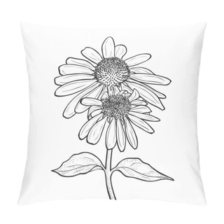 Personality  Hand Drawn Flowers - Echinacea Purpurea Pillow Covers