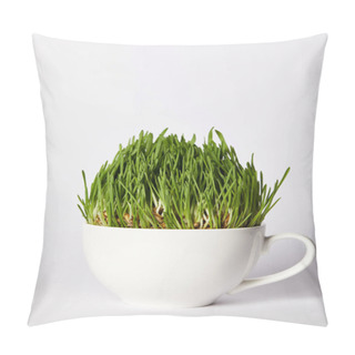 Personality  Spirulina Grass In Cup Isolated On Grey Background  Pillow Covers