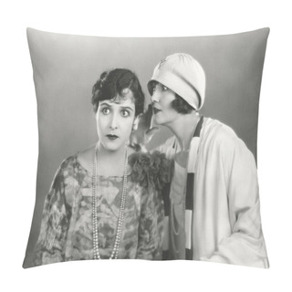 Personality  Women Spreading The News Pillow Covers