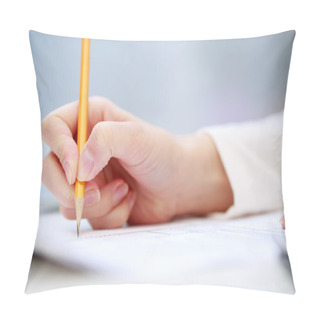 Personality  Female Hand Writing, Close Up Pillow Covers