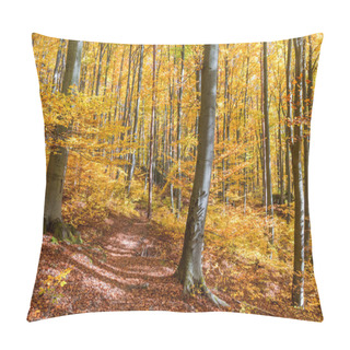 Personality  Beech Forest In Autumn Pillow Covers