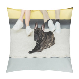 Personality  Frenchie Dog Resting On The Floor By His Owners Pillow Covers