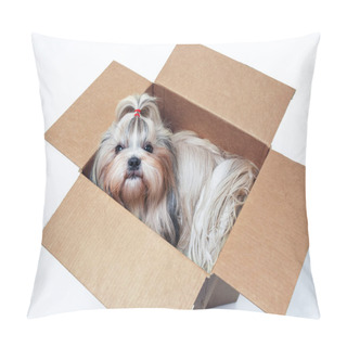 Personality  Shih Tzu Dog Pillow Covers