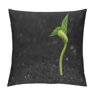 Personality  Bean Plant Pillow Covers