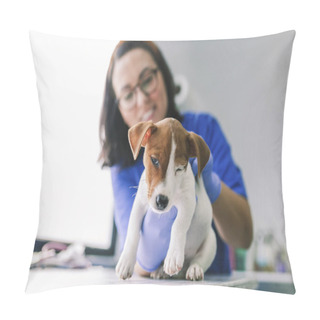 Personality  Veterinary With A Dog For A Review In The Clinic Pillow Covers