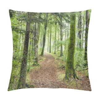 Personality  Woodland Path Pillow Covers
