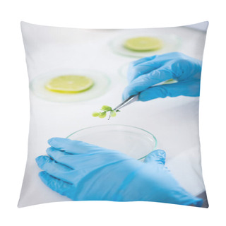 Personality  Scientist During Work At Modern Laboratory Pillow Covers