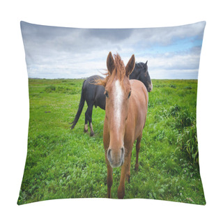 Personality  Horses In A Pasture Meadow.  Tan Horse Looking At Camera. Pillow Covers