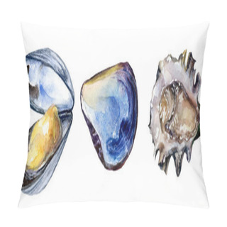 Personality  Watercolor Hand Drawn Illustration Of Seashell, Mollusk. Pillow Covers