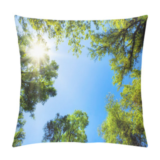 Personality  Treetops Framing The Sunny Blue Sky Pillow Covers