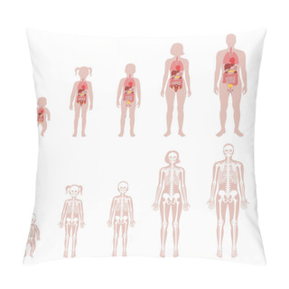 Personality  Human Skeleton And Internal Organs Pillow Covers