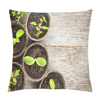 Personality  Seedlings Growing In Peat Moss Pots Pillow Covers