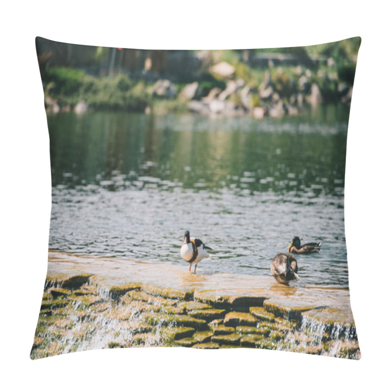 Personality  Three Ducks Sitting On Dam In River At Park Pillow Covers