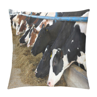 Personality  Cows On Farm Pillow Covers