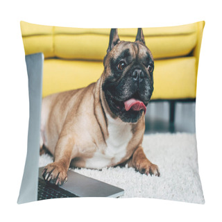 Personality  Adorable French Bulldog Showing Tongue While Lying On Carpet Near Laptop Pillow Covers